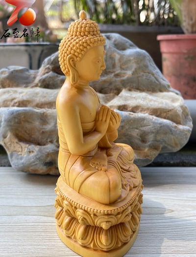 台灣現貨 實體店鋪 雲南小葉黃楊【如來佛祖】4