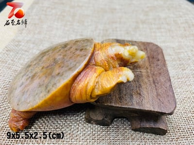 老撾田黃石【富甲天下-甲魚】6