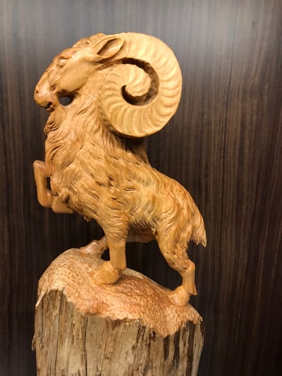 太行崖柏造型料雕刻【領頭羊】2