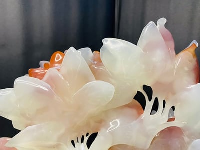 阿富汗紅花冰玉【花開富貴】10