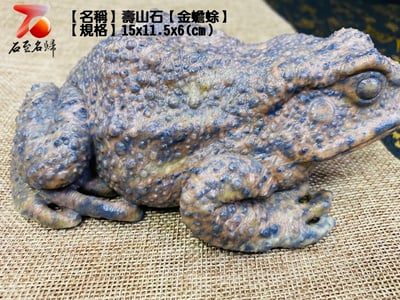 壽山石【金蟾蜍】4