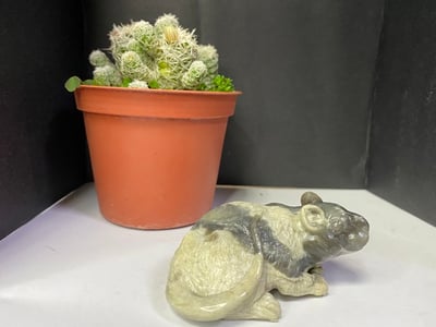 壽山大山石【壽鼠】1