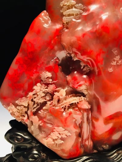 牛角凍雞血大紅袍【映山紅】5