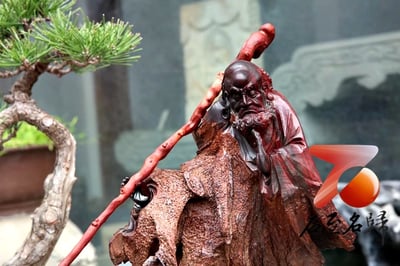 印度小葉紫檀樹頭老料整木巧雕【達摩祖師】5