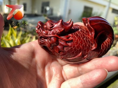 精選印度小葉紫檀高油密材質【魚化龍】2