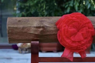 罕見超大料純天然野生加里曼丹沉香【橫財天香／鎮宅沉香】6