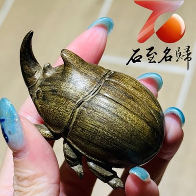 四川金絲楠小葉楨楠陰沉綠料【富甲天下】2