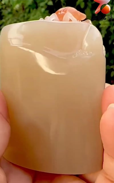 精品老撾保利石 荔枝凍【一鳴驚人】5