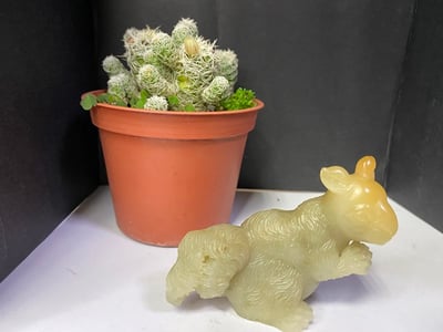 壽山石【送福松鼠】1