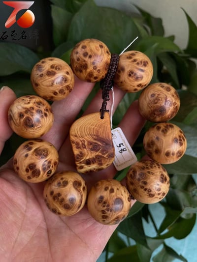 精選正宗太行崖柏雀眼瘤疤5