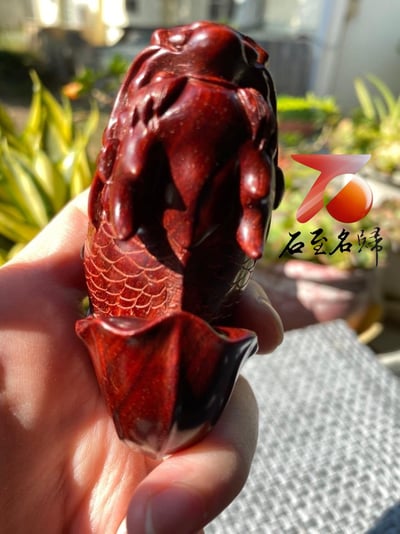 精選印度小葉紫檀高油密材質【魚化龍】7