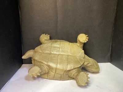 壽山峨嵋石【長壽龜】6