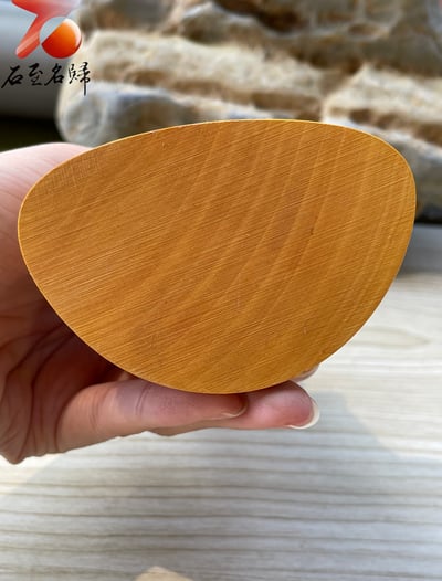 台灣現貨 實體店鋪 雲南小葉黃楊【如來佛祖】5