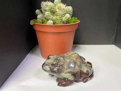 壽山石【萬世不竭-青蛙】6