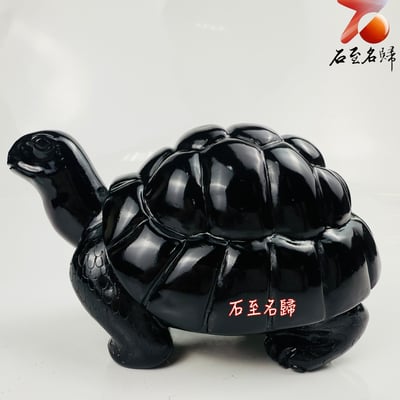丹東石純手工雕烏龜  張國民雕刻家作品【亞達伯拉象龜】6