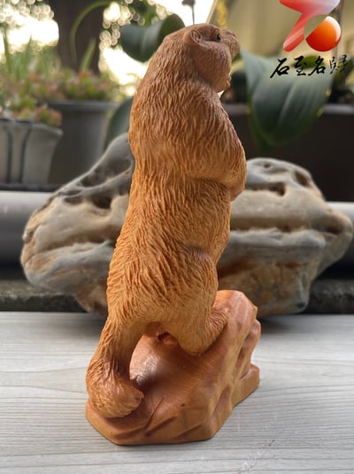 雲南黃金檀原木整料雕刻 自然萌趣【啊～土撥鼠】暖心陪伴的藝術品4