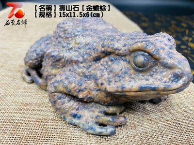 壽山石【金蟾蜍】3