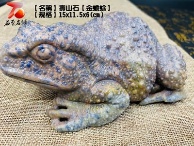 壽山石【金蟾蜍】8