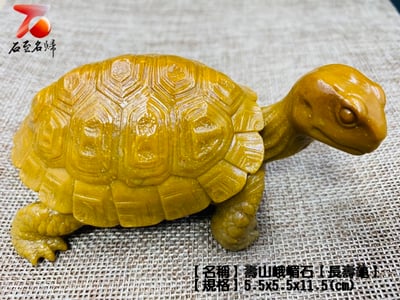 壽山峨嵋石【長壽龜】7