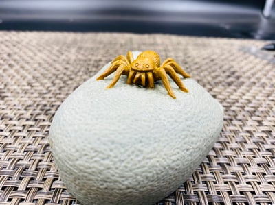 壽山山秀園石 天然巧色巧雕【知足常樂】2