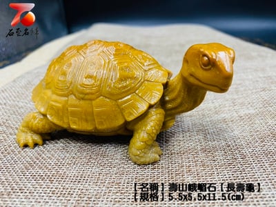 壽山峨嵋石【長壽龜】3