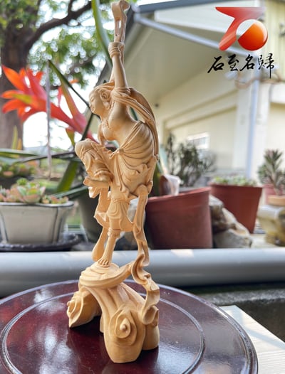 台灣現貨 實體店鋪 雲南大葉黃楊【胡風-西域美女】3