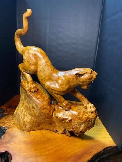 一夜豹發 杉木瘤【一夜爆發】2