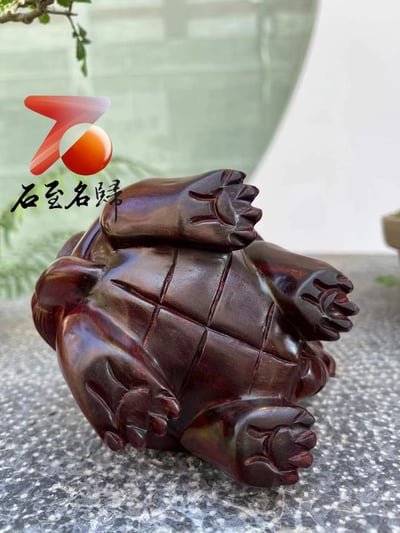 印度小葉紫檀實心泥料 魚鱗底+金星【招財龍龜】5