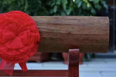 罕見超大料純天然野生加里曼丹沉香【橫財天香／鎮宅沉香】4