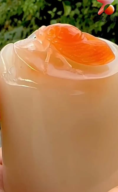 精品老撾保利石 荔枝凍【一鳴驚人】9