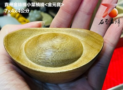 貴州金絲楠小葉楨楠【招財金元寶】4