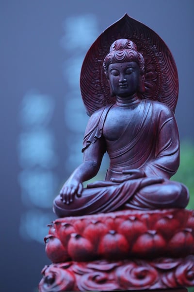 印度小葉紫檀老料 大口徑清刀【阿彌陀佛】2