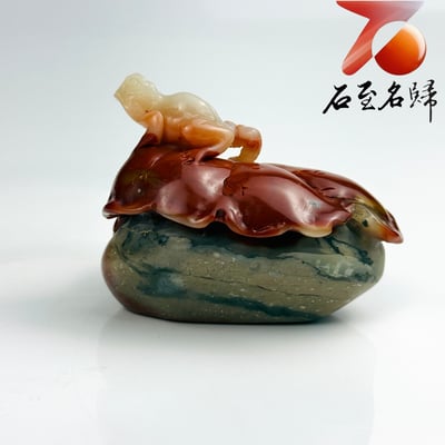 老撾石手工精雕 張國民老師作品【雙蛙戲荷・呱呱來財】7