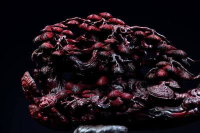 印度小葉紫檀雅器集【松鶴延年】2