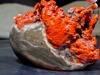 老撾石手工精雕 張國民老師作品【步步高升，八方來財】3