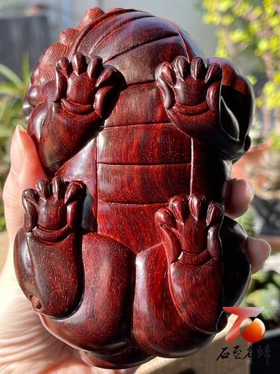 印度小葉紫檀 高油密料【喜獅】13