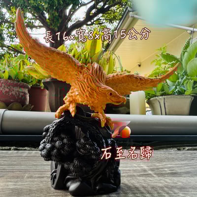 雲南黃金檀+印尼黑檀木底座【大展鴻圖-老鷹】4