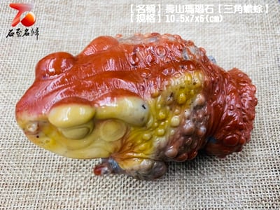 壽山瑪瑙石【紅紅火火-三角蟾蜍】2