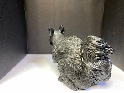 壽山豆耿石【送福松鼠】4