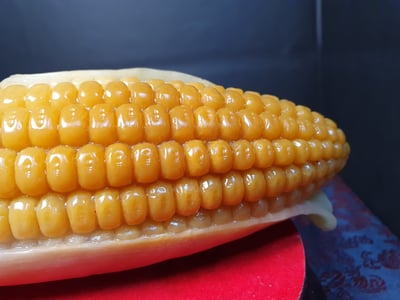 田黃石收藏品 風水擺件 寮國田黃石【玉米】3