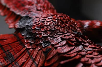 印度小葉紫檀高油密老料【神鵰-大展宏圖】6