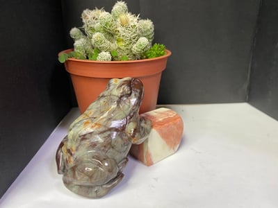 壽山石【萬世不竭-青蛙】4