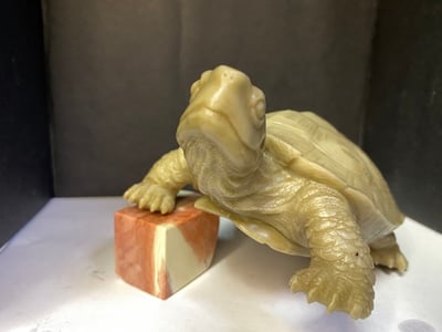 壽山峨嵋石【長壽龜】3