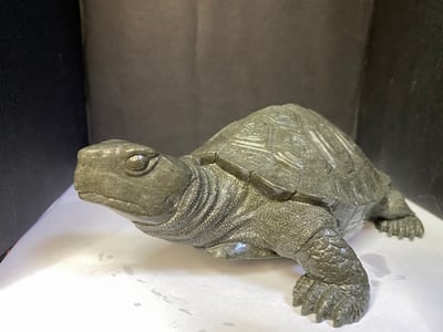 壽山豆耿石【長壽龜】4