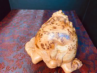 太行崖柏滿瘤疤龍龜4