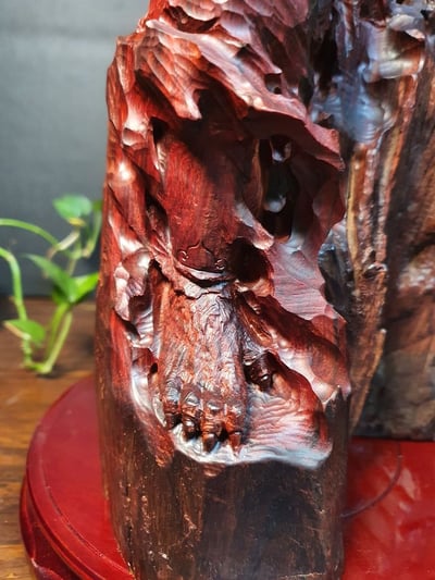 印度小葉紫檀【孫悟空】6