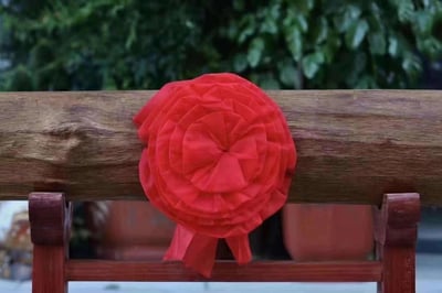 罕見超大料純天然野生加里曼丹沉香【橫財天香／鎮宅沉香】5