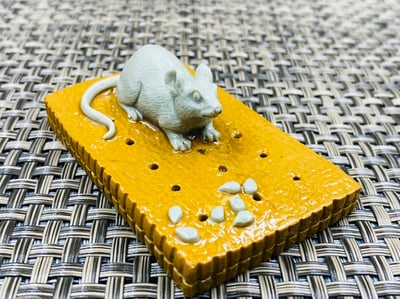 壽山山秀園石 天然巧色巧雕【多子多福】4