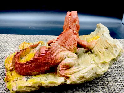 壽山老岭石【蜥蜴-吸億】4