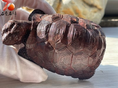 印度小葉紫檀高油密二膘料【鎮宅象龜】9